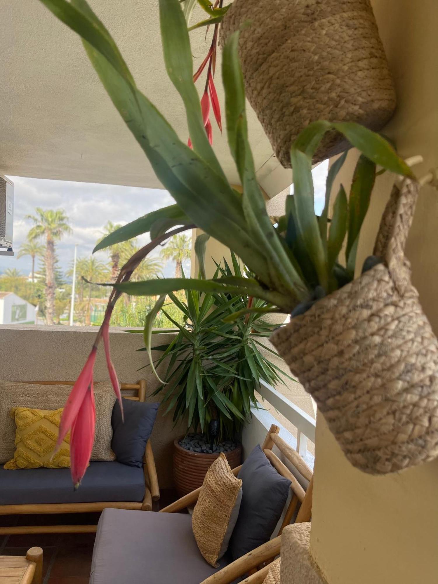 The Beach House Playa Del Arenal Javea - Pool And Garden Steps From The Beach Platja de Larenal Eksteriør bilde